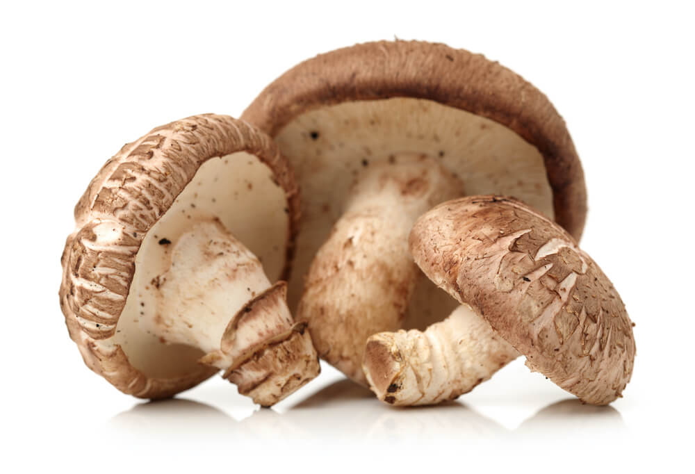 shiitake